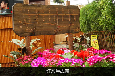 紅杏生態園 都市近郊的綠色田園夢