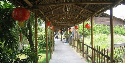 盈香生態園門票全攻略 預訂方式、價格信息與游玩指南