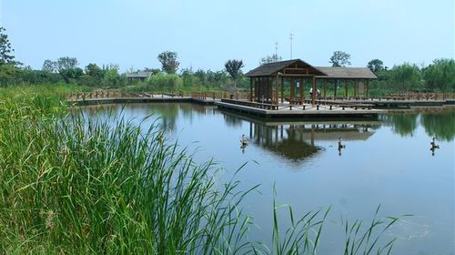 國慶樂游 上海出發，千燈古鎮與大唐生態園一日探幽之旅