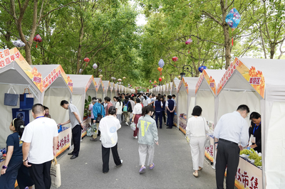 金山啟動“豐收狂歡盛宴”，8天近20項活動邀市民打卡“魔都后花園”生態園
