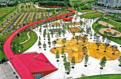 綠網織城，公園筑夢 260座公園星羅棋布，繪就生態光明新畫卷